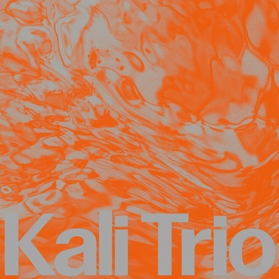 Kali Trio - The Playful Abstract (lp) LP