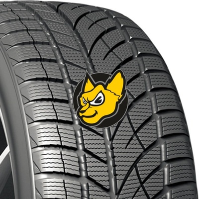 Evergreen EW66 275/40 R20 106V