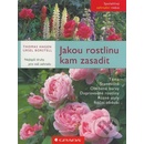 Jakou rostlinu kam zasadit