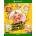 SEGA Super Monkey Ball Banana Blitz HD (Xbox One)