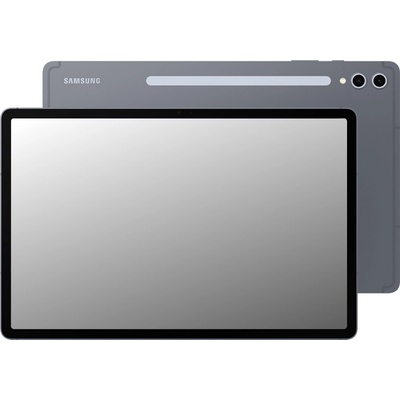 Samsung Galaxy Tab S10+ 5G SM-X826BZAPEUB