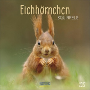 Korsch Verlag GmbH Eichhörnchen 2027 | Korsch Verlag