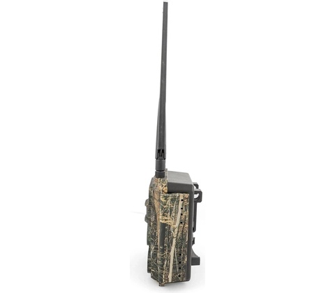 OXE Panther 4G