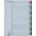 ESSELTE Регистър ESSELTE Mylar A/4 ламиниран картон 1-31 100164 (100164)