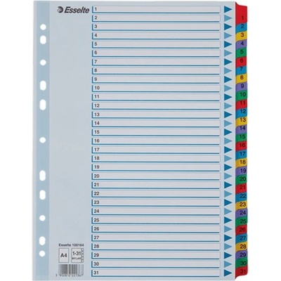 ESSELTE Регистър ESSELTE Mylar A/4 ламиниран картон 1-31 100164 (100164)