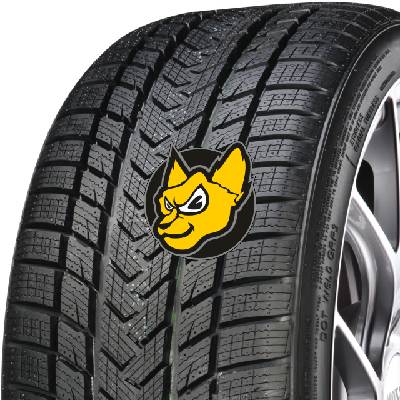 Gripmax Status PRO Winter 255/35 R19 96V XL