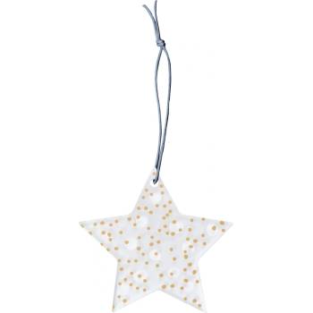 Raeder Коледна висулка Ice Star на точки 8, 5 см (C92224)