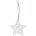 Raeder Коледна висулка Ice Star на точки 8, 5 см (C92224)