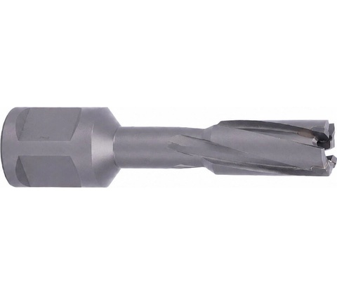 ABSE N-CA-W19-0120035