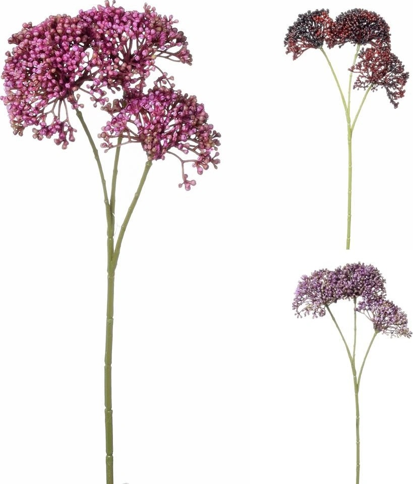 SEDUM MIX 3F 36CM
