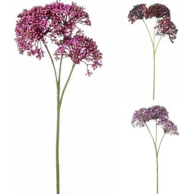 SEDUM MIX 3F 36CM