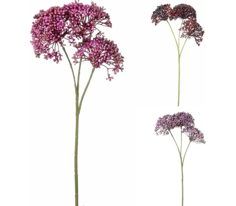 SEDUM MIX 3F 36CM