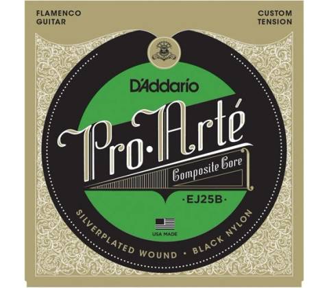 D'Addario EJ25B