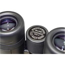 Braun Compagno 8x42 WP