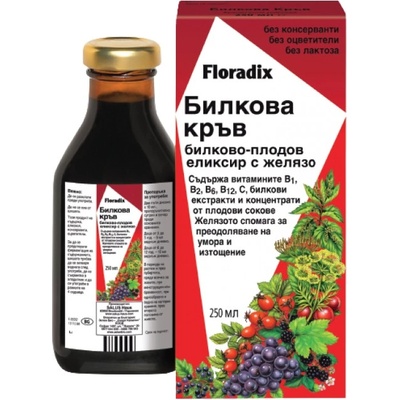 SALUS Floradix Herbal Blood | Билкова кръв с желязо [250 мл]