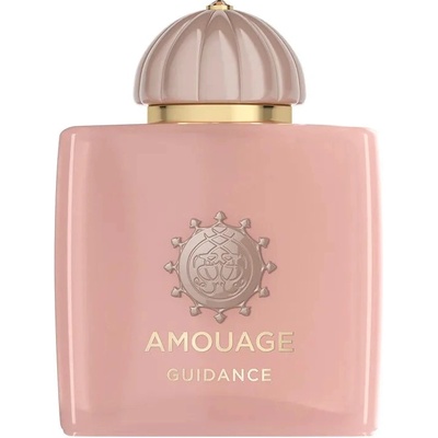 Amouage Guidance EDP 100 ml