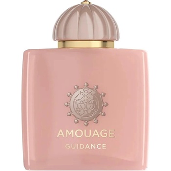Amouage Guidance EDP 100 ml