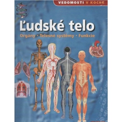 Ľudské telo - Orgány - Telesné systémy - Funkcie