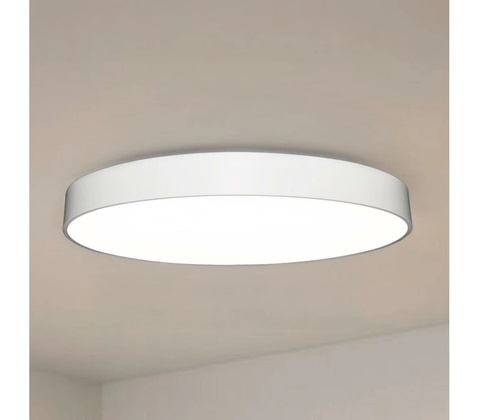 Nedes CL7162