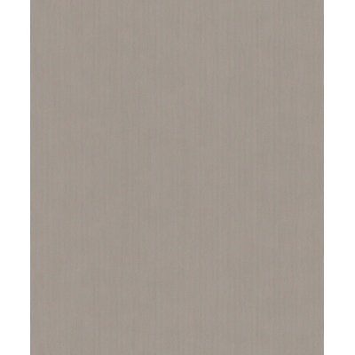 Rasch 521481 vliesová tapeta na zeď Concrete rozměry 0,53 x 10,05 m