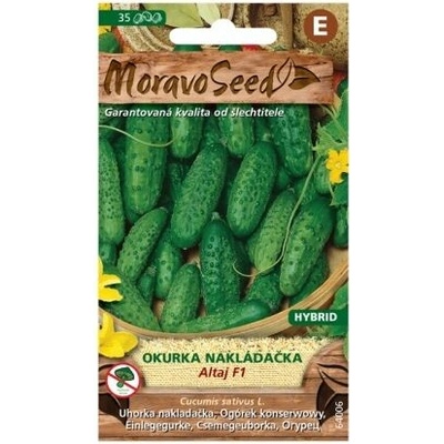 Semená uhoriek ALTAJ F1 - hybrid, 35 s