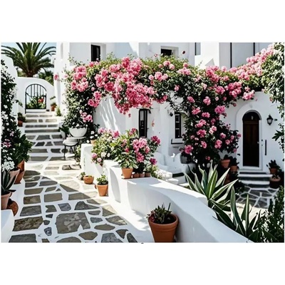 Norimpex - Puzzle Diamant painting: Flowering patio 30x40cm - 1 - 39 piese