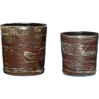 Hübsch Саксии Fossil кестен 2 бр (671503)