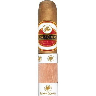 Flor de Copan Short Robusto 1 ks