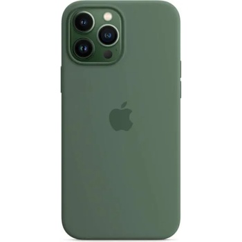 Image 1 of Apple iPhone 13 Pro Max Magsafe Silicone Cover eucalyptus (MN6C3ZM/A)
