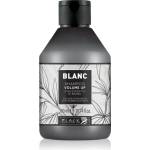 Black Professional Line Volume Up Shampoo шампоан за обем за фина коса 300ml
