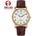 Certus 611231
