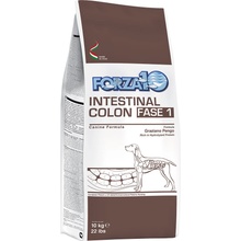 Forza 10 Active Line Intestinal Colon Phase 1 10 kg