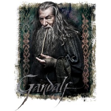 Tričko Hobbit Gandalf the Great