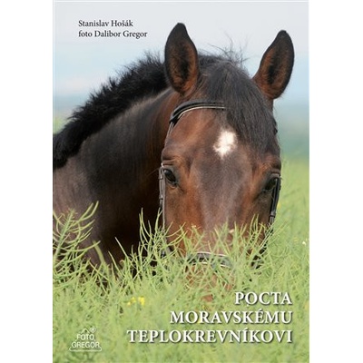 Pocta moravskému teplokrevníkovi