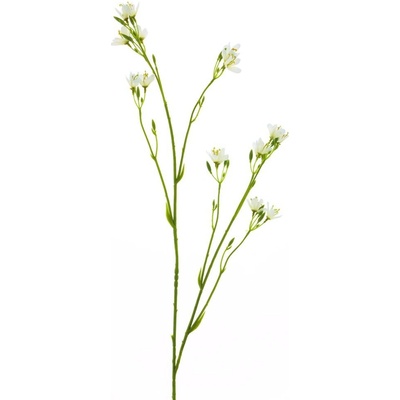 Baby Blossom (spray) modrý 96 cm