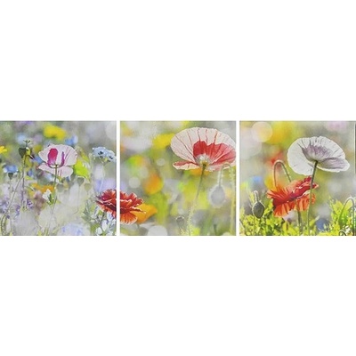 Moderní obraz Sada 3090 máky 90x30 cm