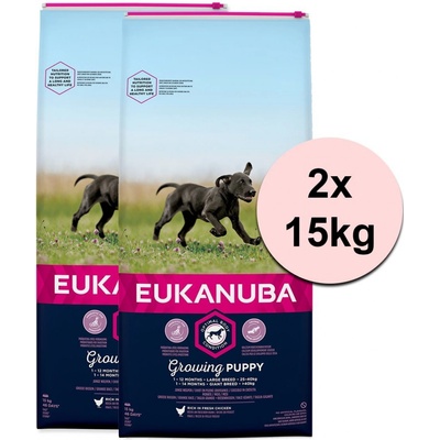 Eukanuba Puppy Large Breed chicken 2 x 15 kg