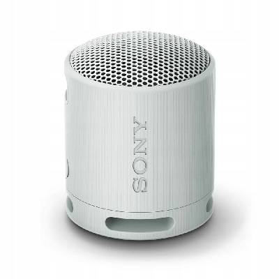 Prenosný reproduktor Sony SRS-XB100 sivý 2,5 W