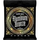 Ernie Ball 2564