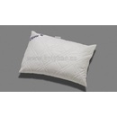 2G Lipov vankúš Clivie 70x90 900g