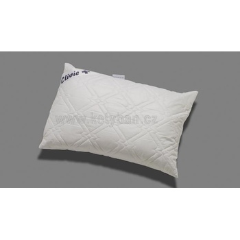 2G Lipov vankúš Clivie 70x90 900g
