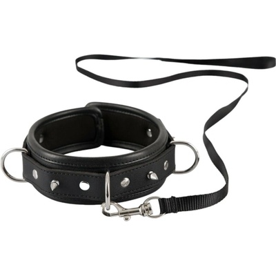 Bad Kitty spiked collar with dog collar