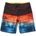 Reef LEGACY Multi