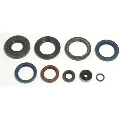 Sada gufer motoru ATHENA P400270400220