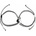 Nefertitis NF38079