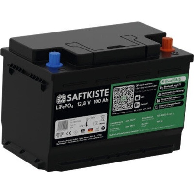 Saftkiste LiFePO4 100Ah (814000)