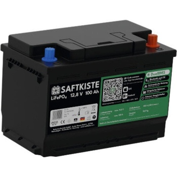 Saftkiste LiFePO4 100Ah (814000)