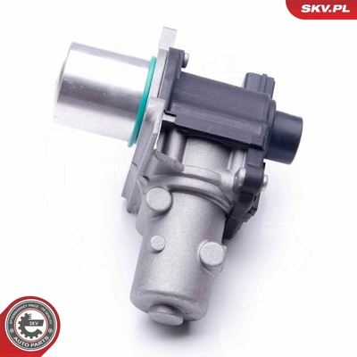 AGR-Ventil ESEN SKV 14SKV163