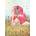 Educa - Puzzle June Esther Gili 1000 - 1 000 piese