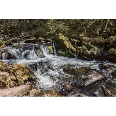 DIMEX ART Флизелинов фототапет корнуол, англия 375 x 250 см